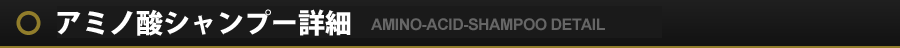 アミノ酸シャンプー詳細