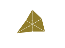 S-1シャンプー商品画像