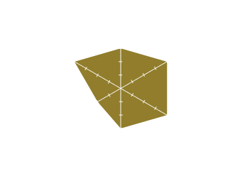 スカルプD分析結果